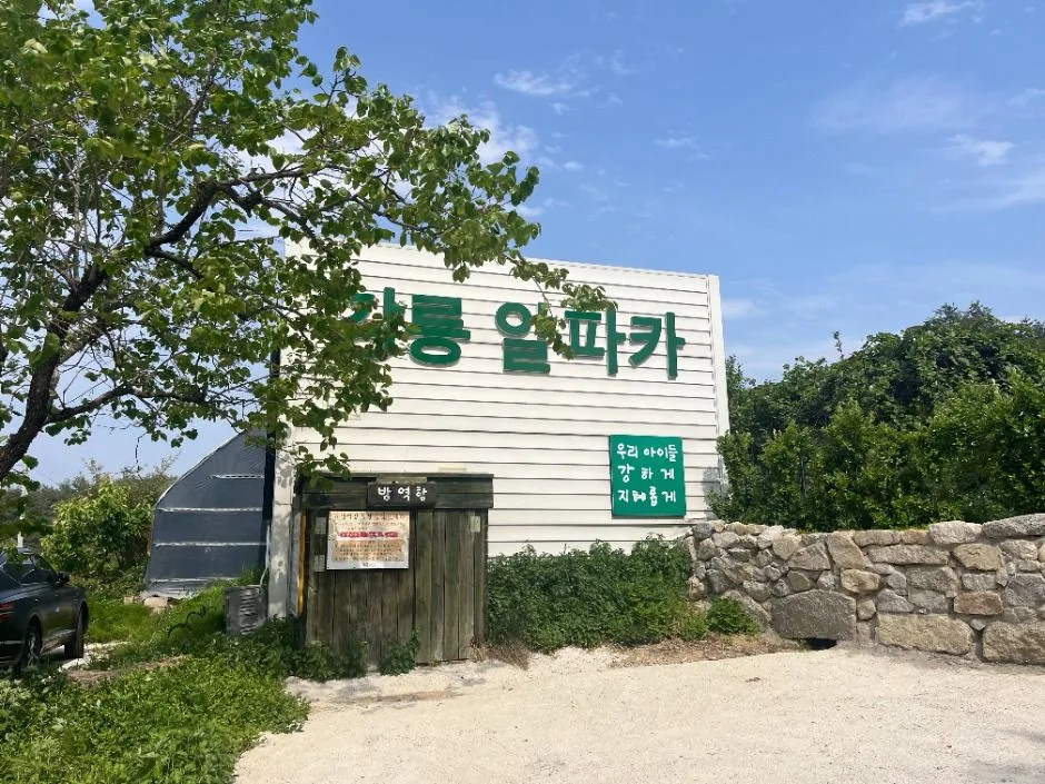 강릉_대관령아기동물농장 (6)