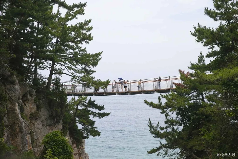 추암 출렁다리 (4)