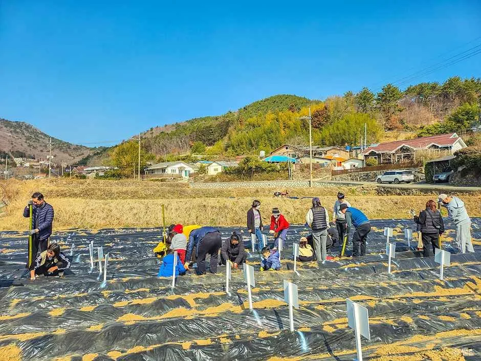 거제_삼거동 청사초롱 체험마을 (4).jpg