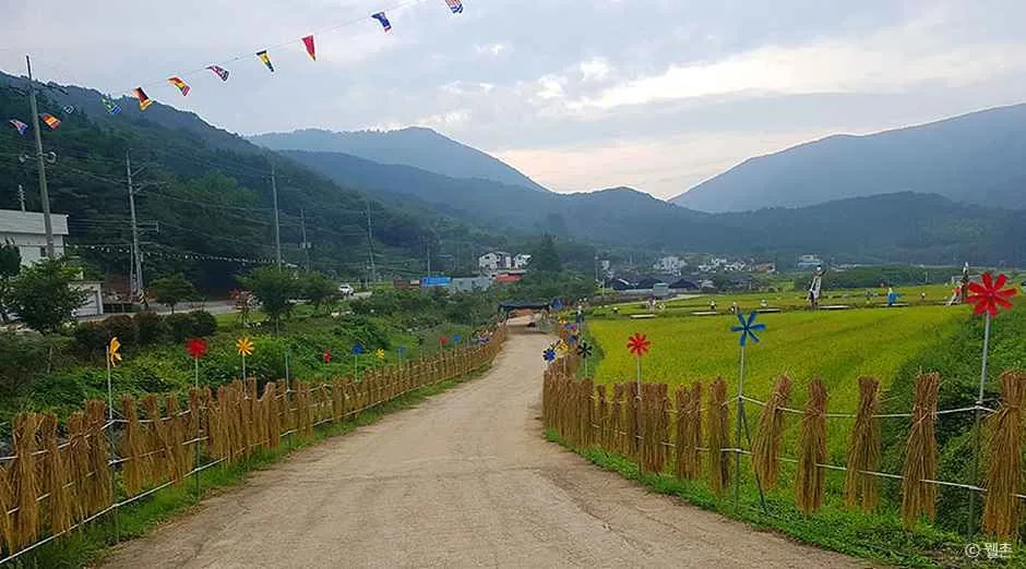 거제_삼거동 청사초롱 체험마을 (2).jpg