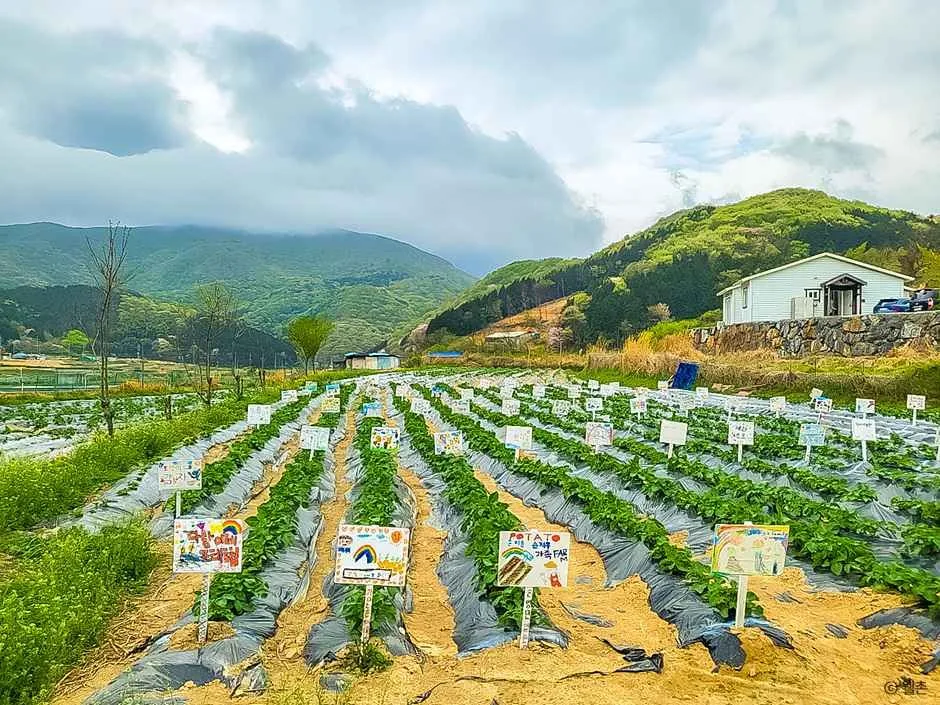거제_삼거동 청사초롱 체험마을 (3).jpg