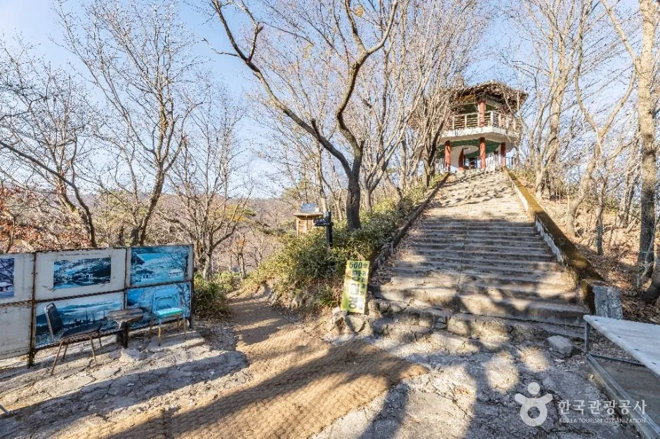 정읍_내장산 굴거리나무군락 (9)