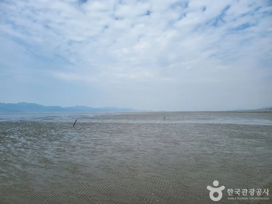 고창갯벌 (3)