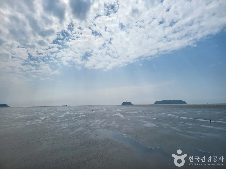 고창갯벌 (4)