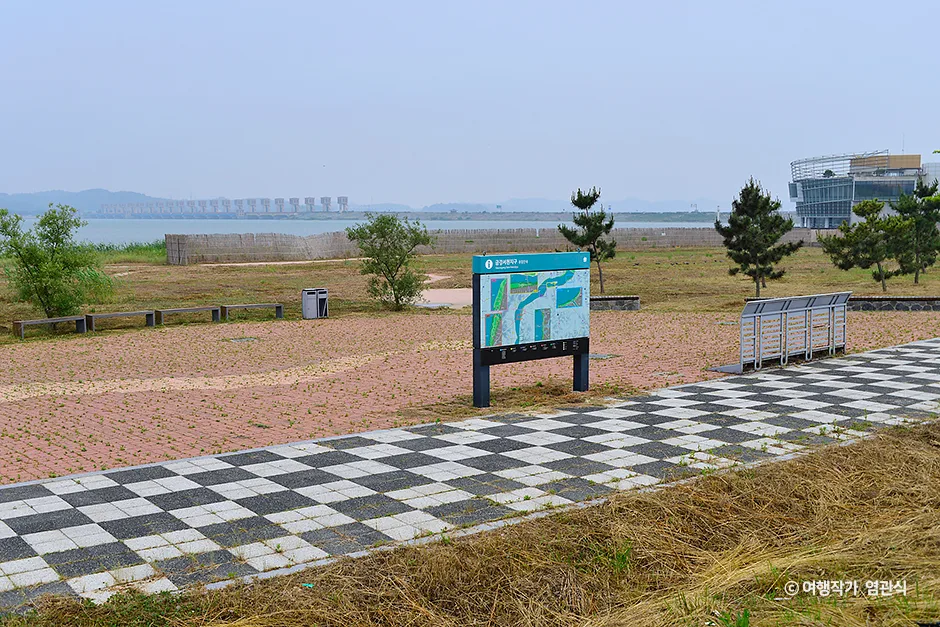 충남_서천군_금강하구 철새도래지 (서천) (1).jpg