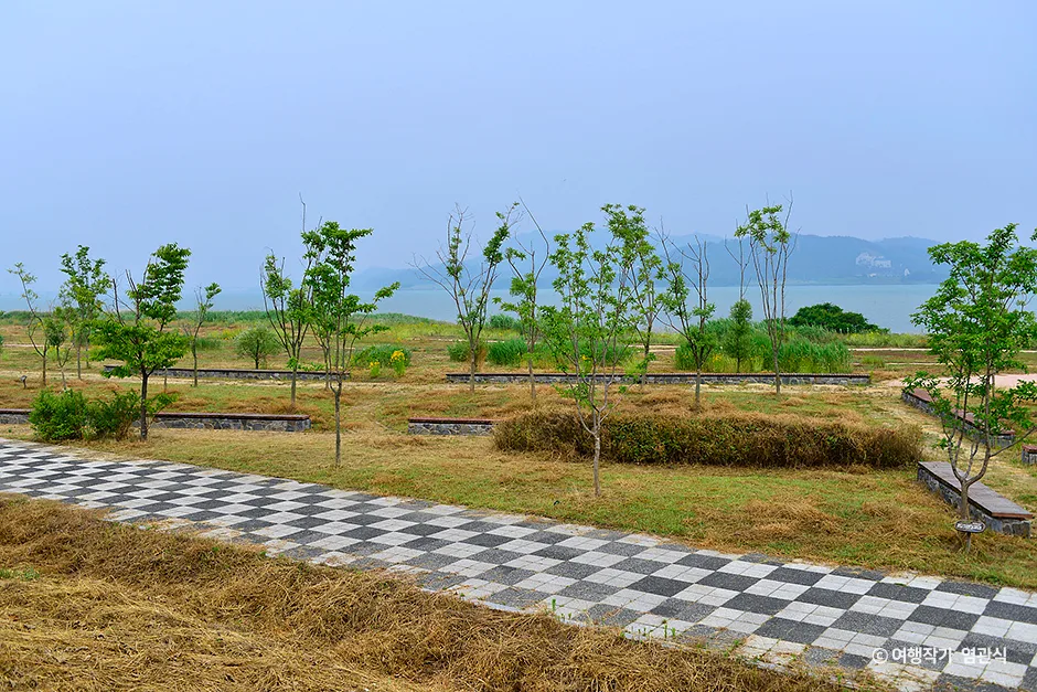 충남_서천군_금강하구 철새도래지 (서천) (3).jpg
