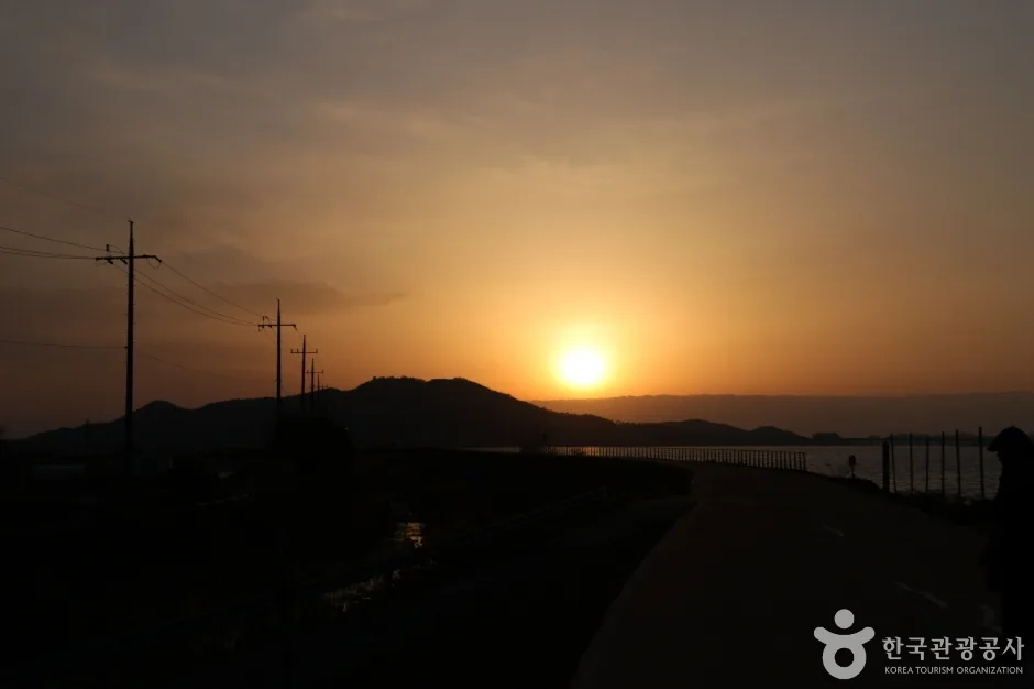 금강하구철새도래지_01