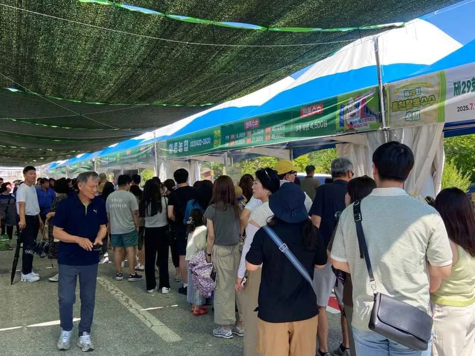 홍천 찰옥수수 축제 (5).jpg