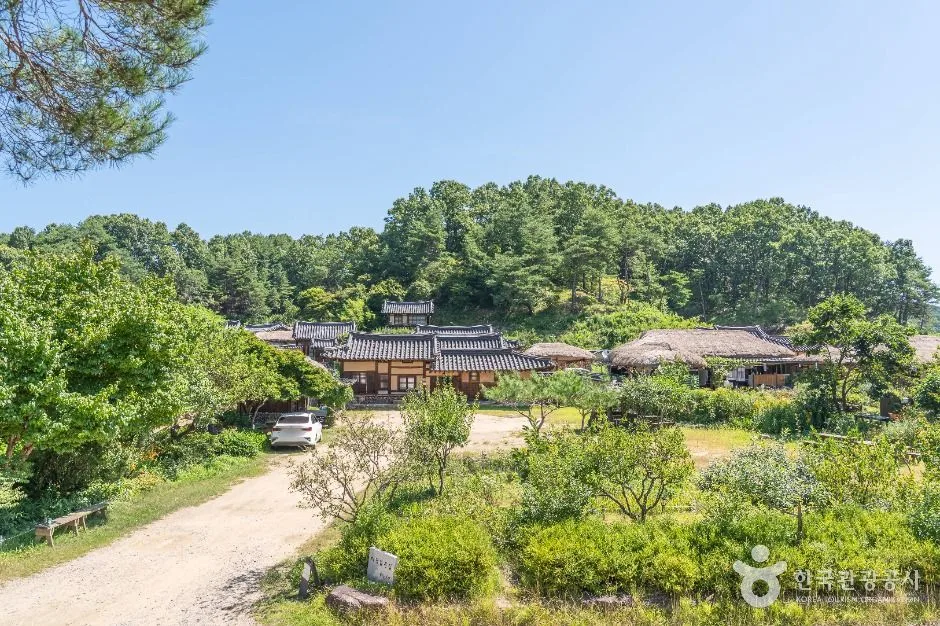 영주_영주무섬마을 (1)