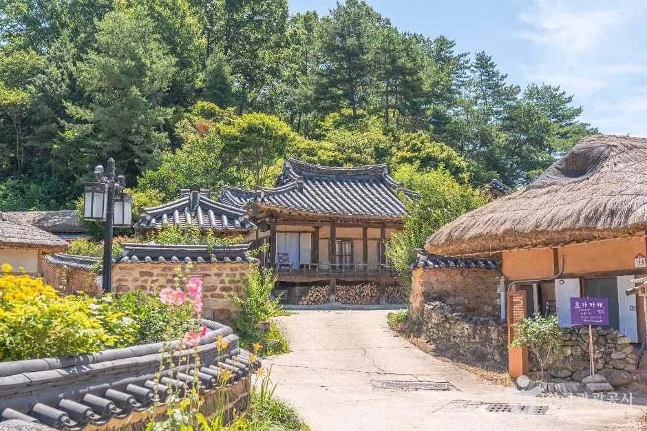 영주_영주무섬마을 (6)