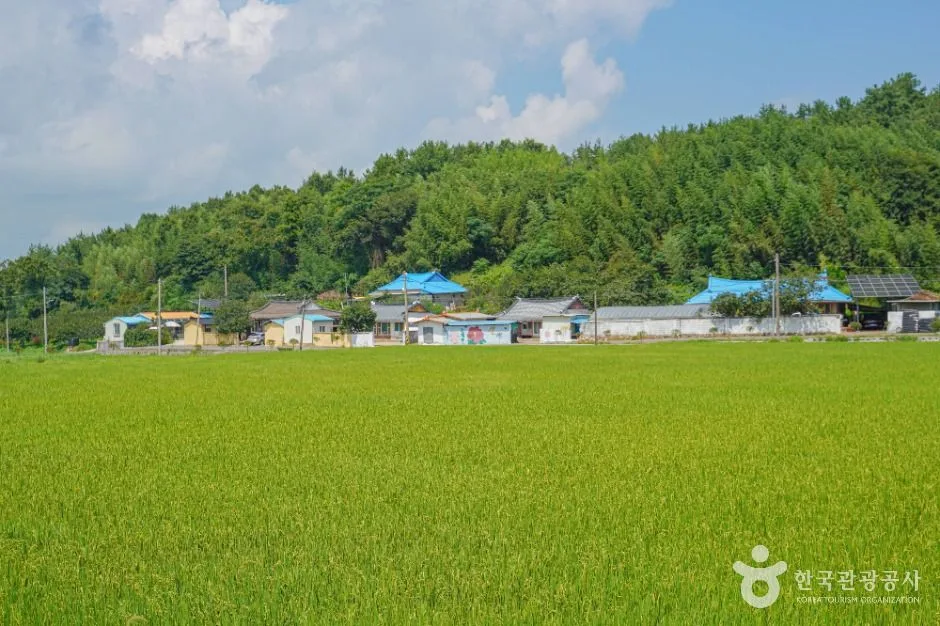 강진군_강진 갯들소리마을 (4)