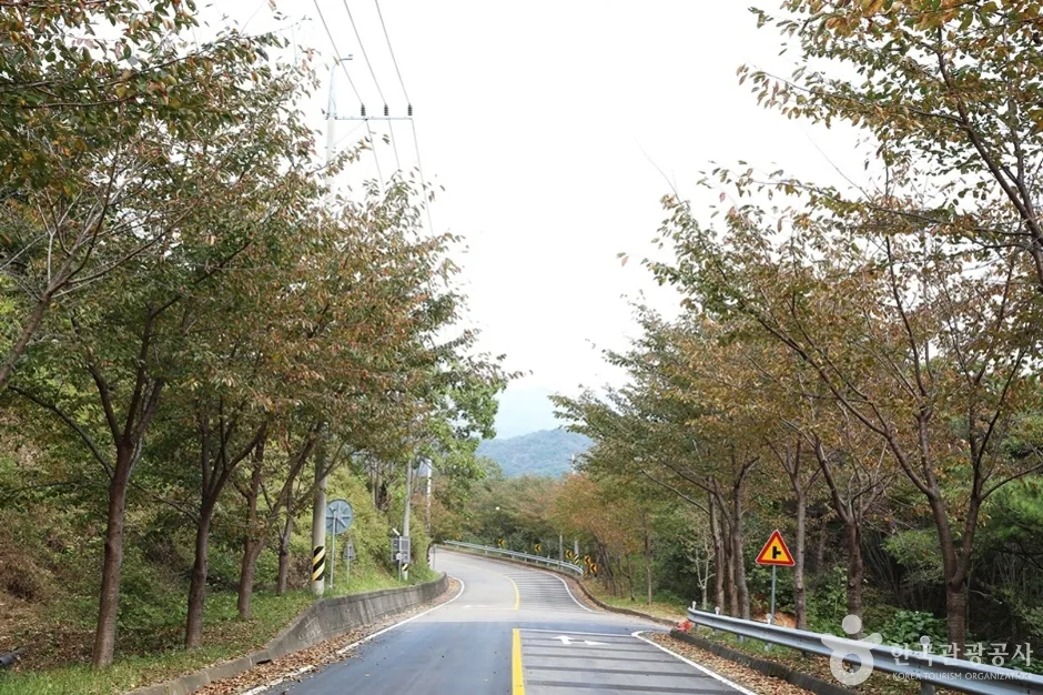 경남_산청_정취암가는길 (2)