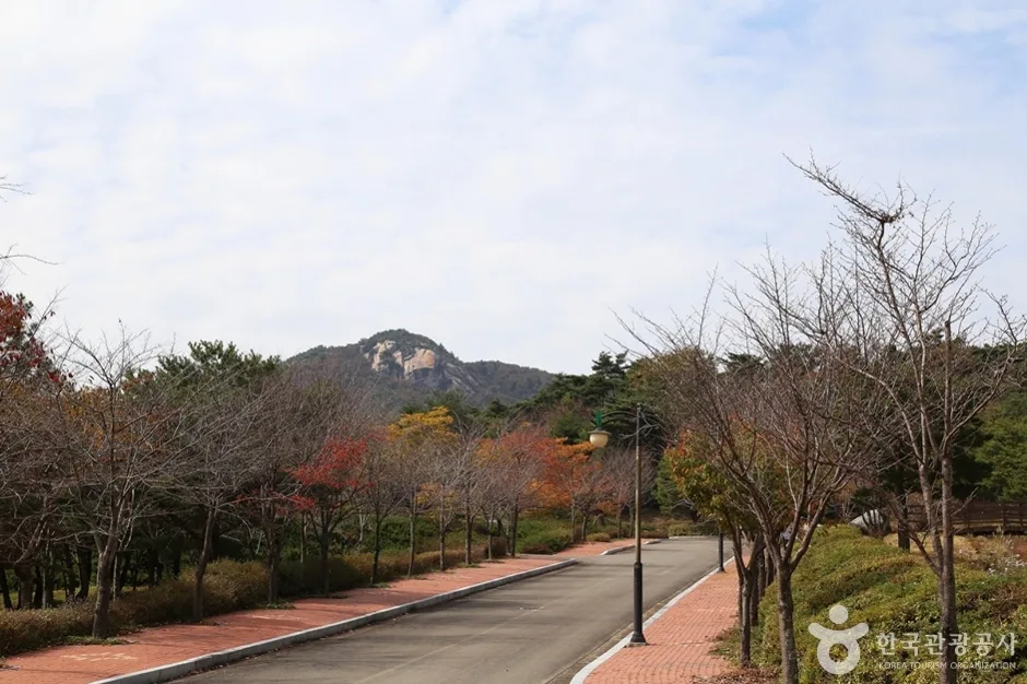 경남_산청_정취암가는길 (7)