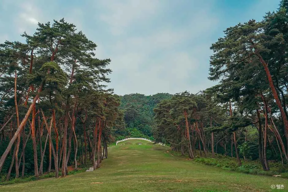 춘천_ 춘천 박사마을 (2).jpg