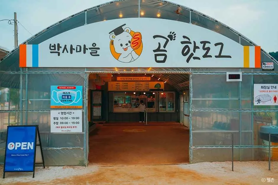 춘천_ 춘천 박사마을 (3).jpg
