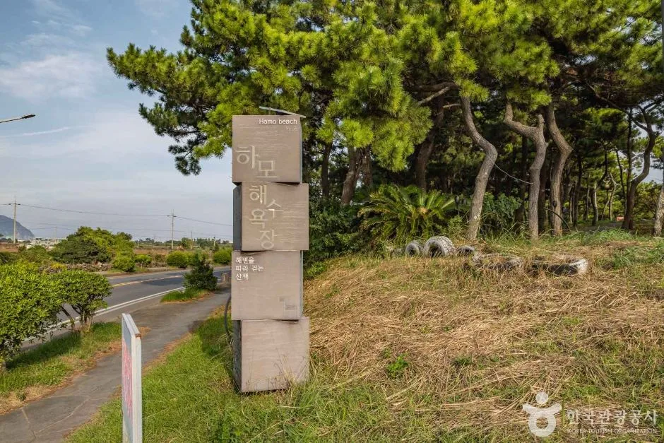 제주_서귀포시_하모해변_1620883 (2)