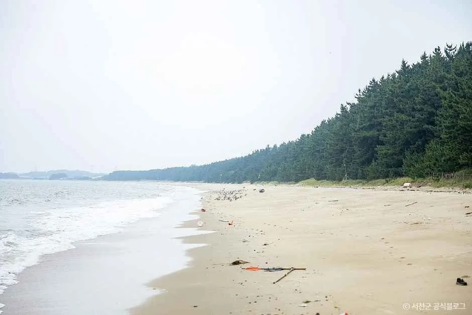 서천_띠섬목해변 (3)