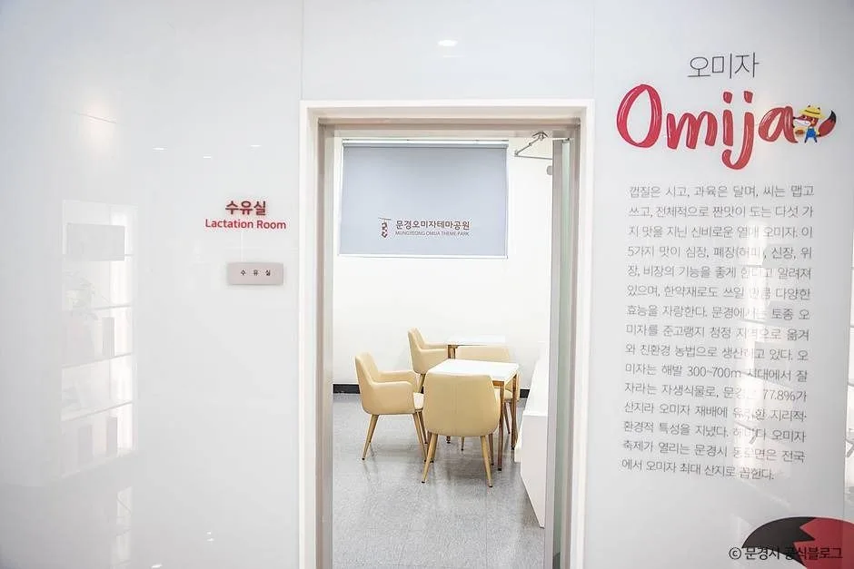 문경_문경 오미자테마공원 (5)