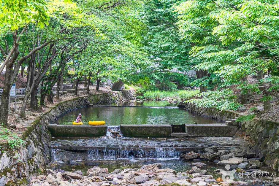 고산자연휴양림