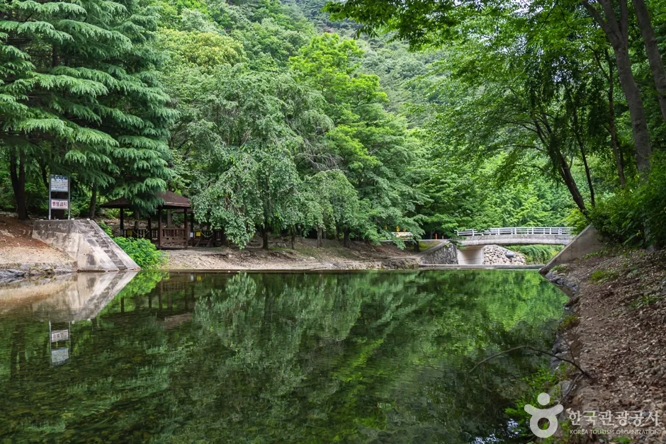 전북_완주_고산자연휴양림(4)