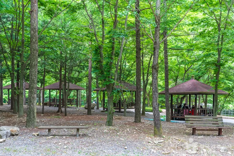 전북_완주_고산자연휴양림(5)