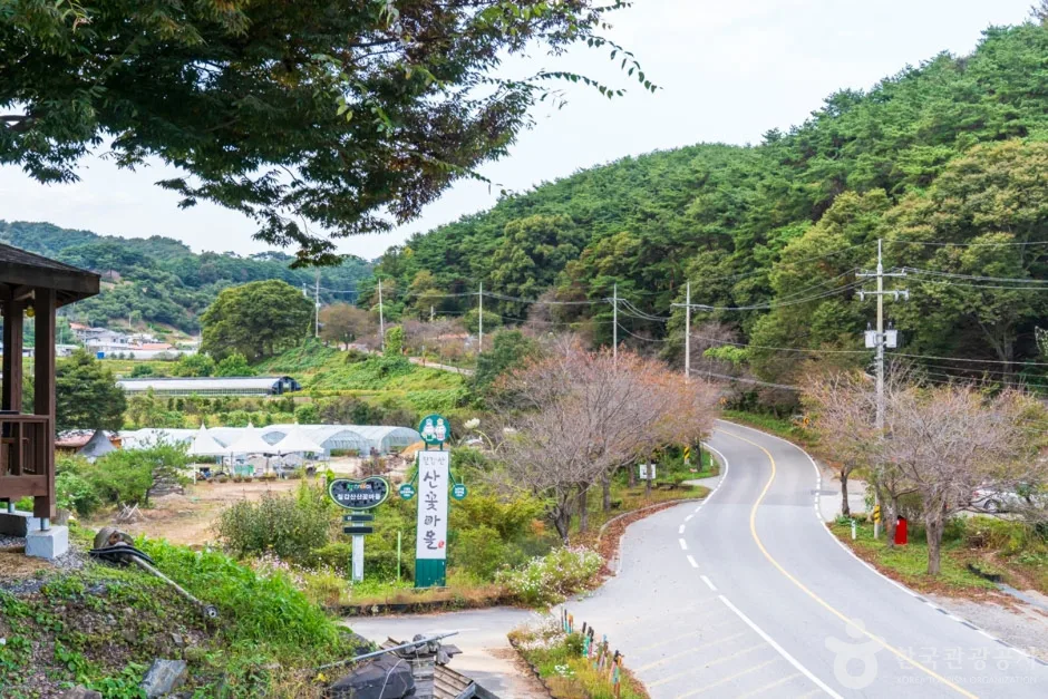 청양 칠갑산 산꽃마을 (12)