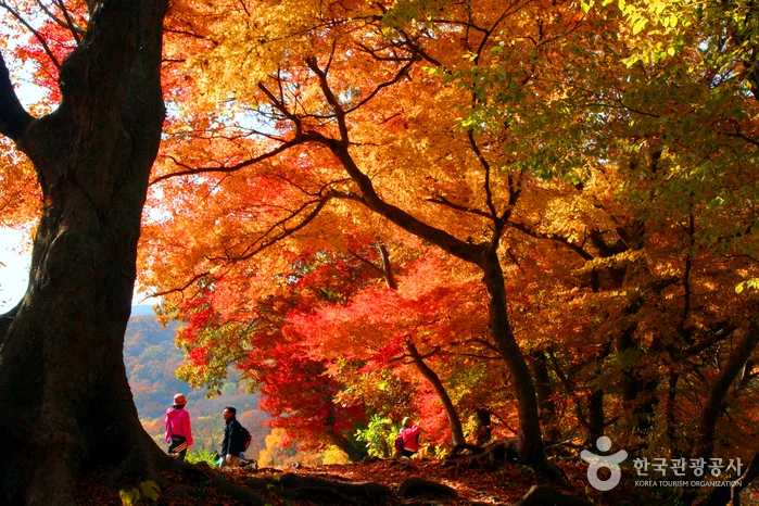 선운산 (전북 서해안 국가지질공원)