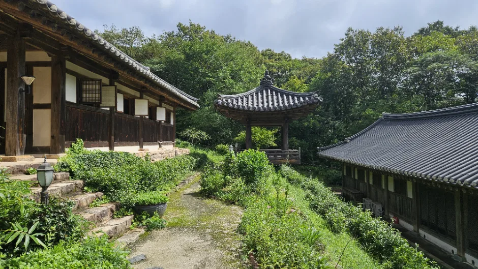 순천전통야생차체험관_image11