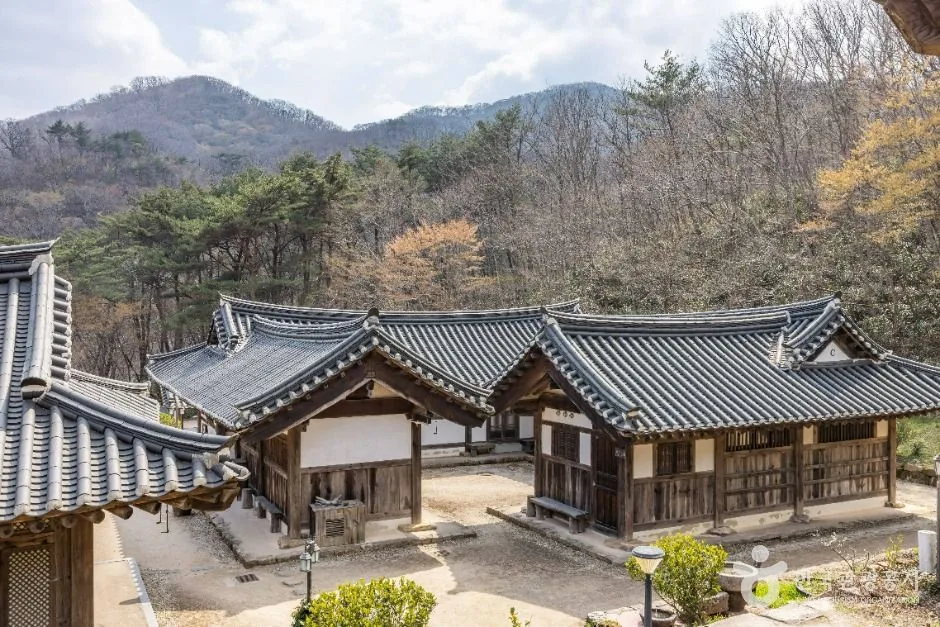 순천_순천전통야생차체험관 (6)