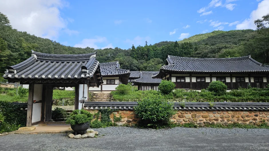 순천전통야생차체험관_image01