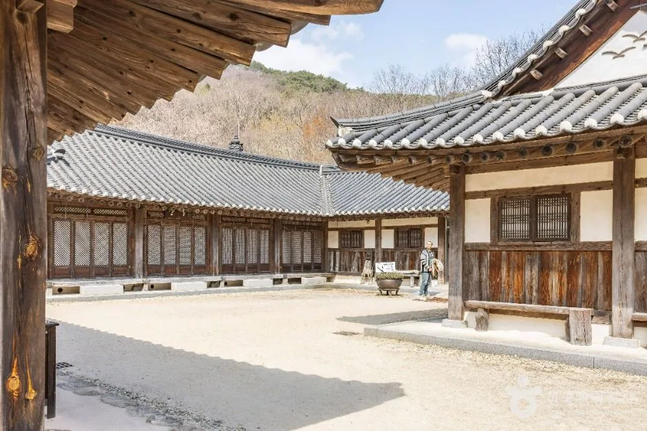 순천_순천전통야생차체험관 (3)