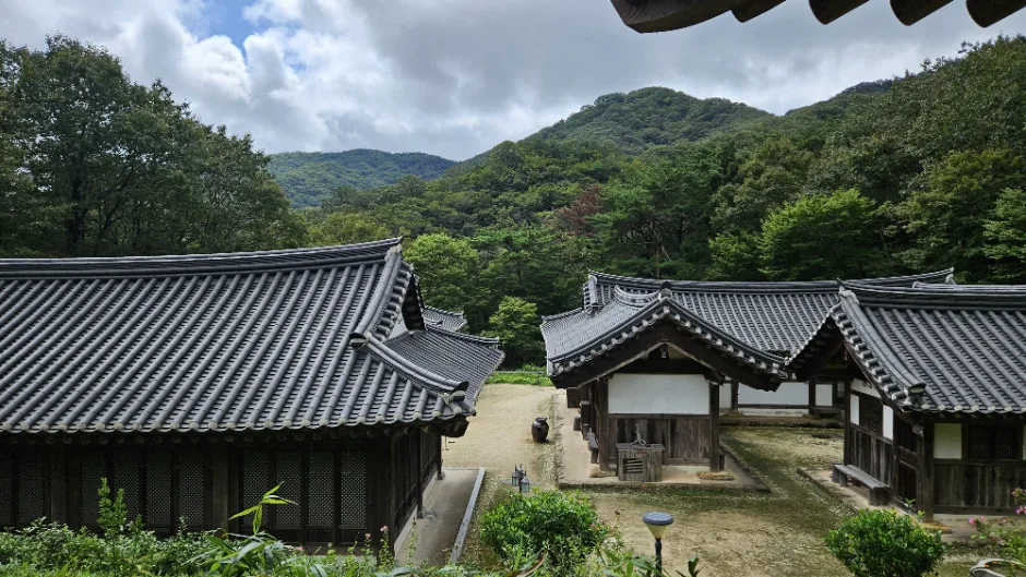 순천전통야생차체험관_image08