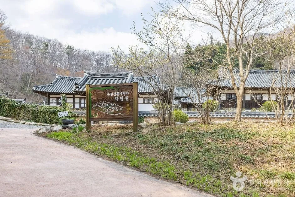 순천_순천전통야생차체험관 (2)