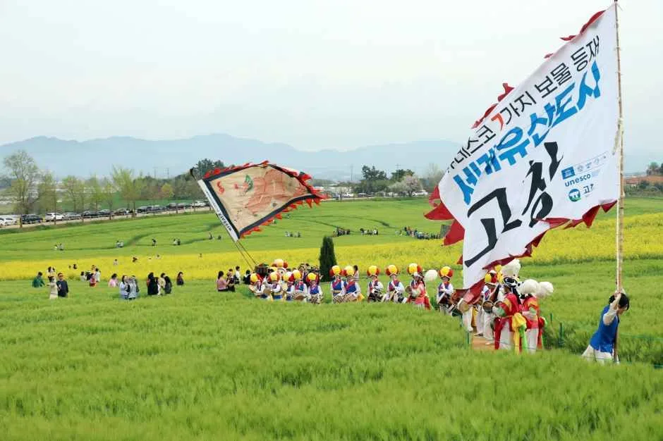 2026 고창청보리밭 축제 (1).JPG