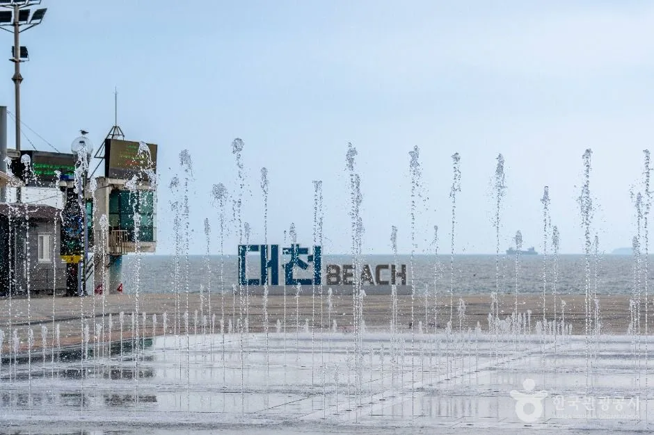 보령_분수광장 (5)