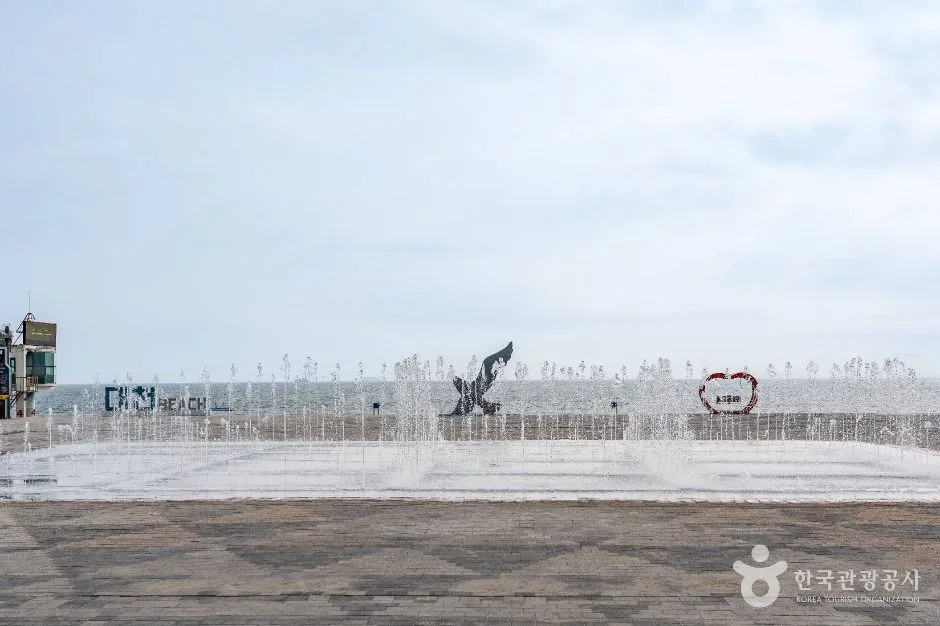보령_분수광장 (4)