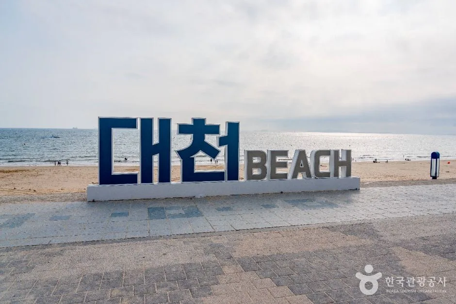 보령_분수광장 (2)