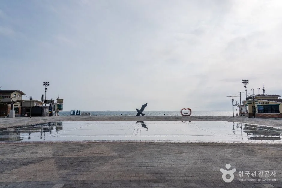 보령_분수광장 (3)