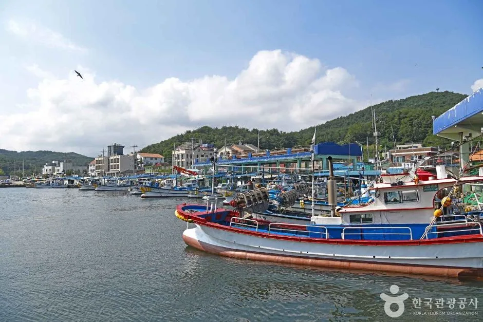 기사문항 (4)