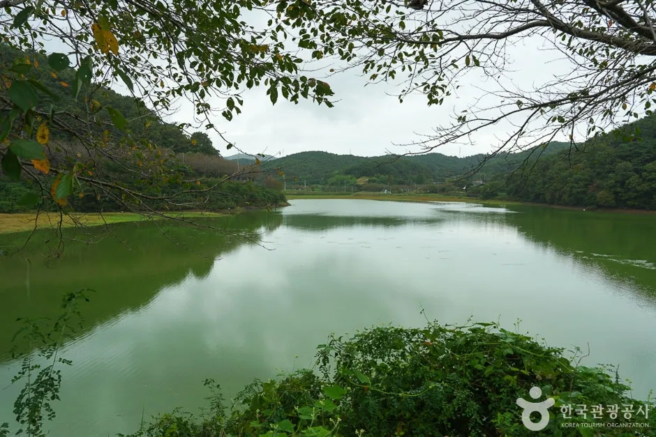 고남 저수지 (10)