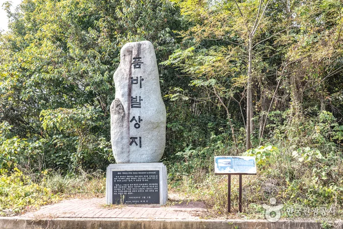 품바발상지