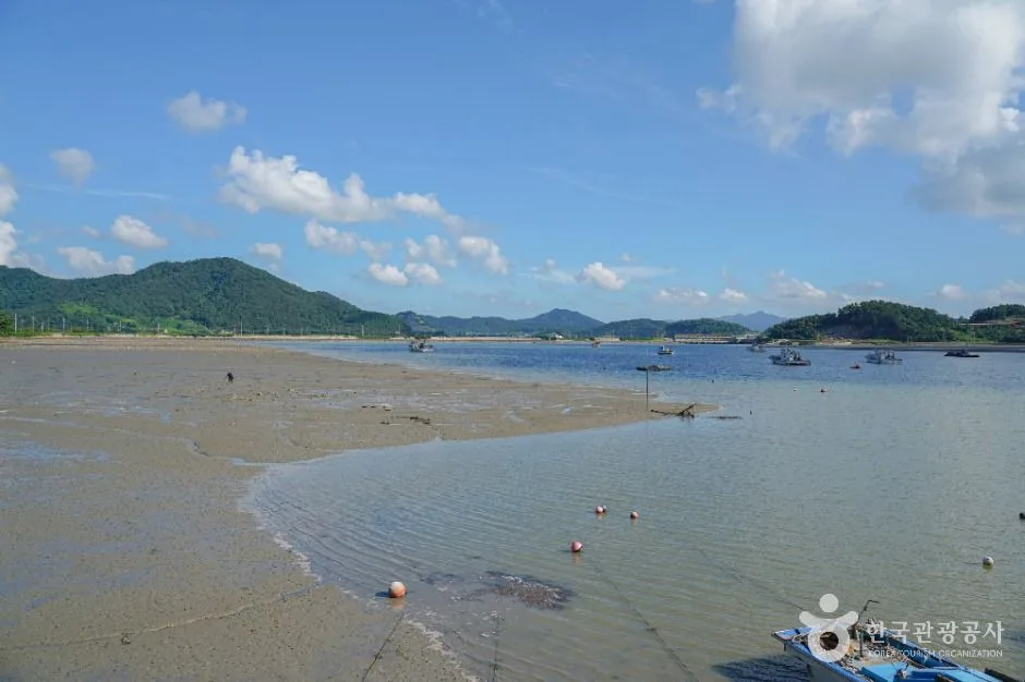 진도_쉬미항 (6)