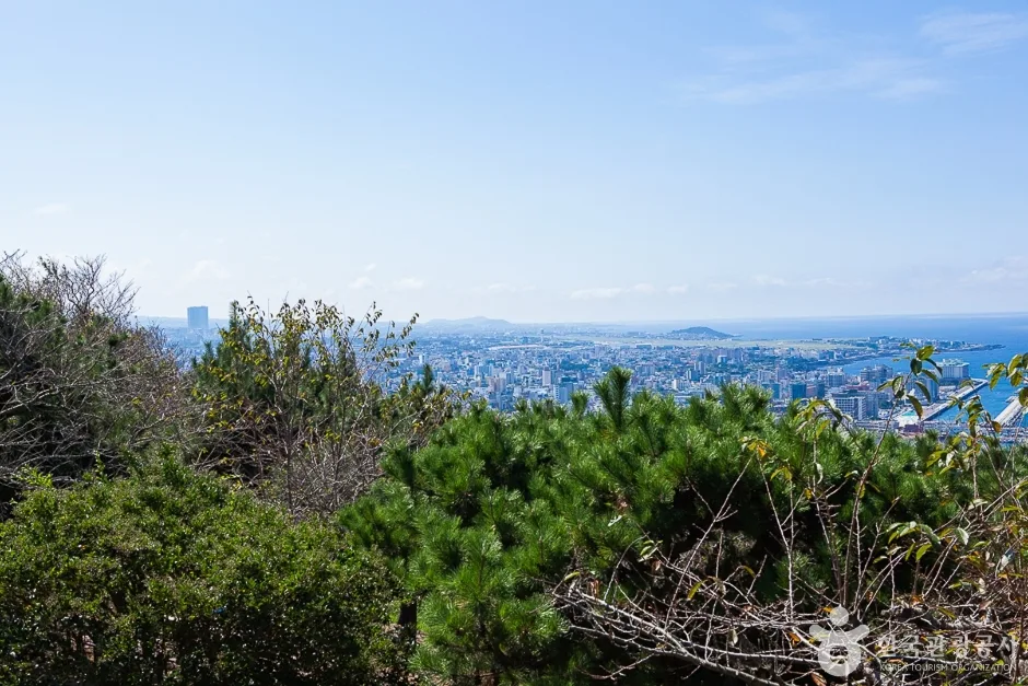 사라봉 (11)