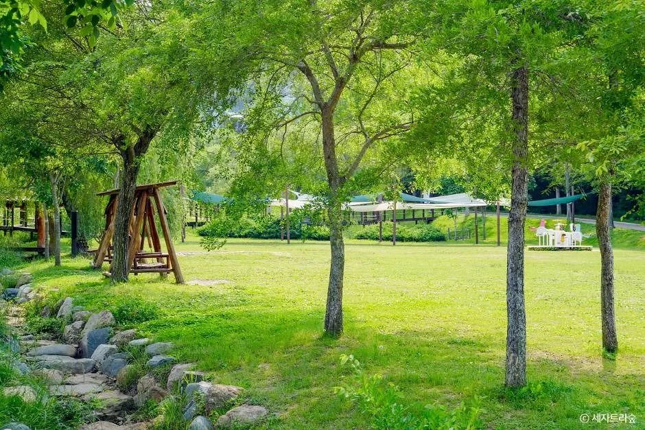 통영_통영RCE세자트라숲 (9)