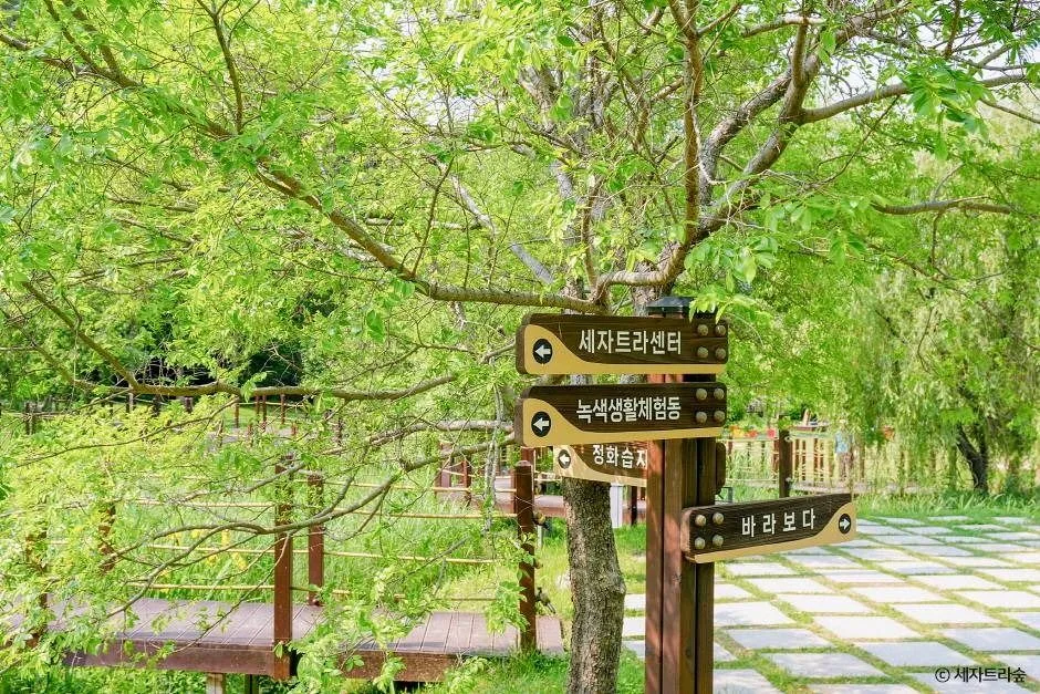 통영_통영RCE세자트라숲 (7)