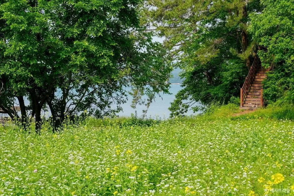 통영_통영RCE세자트라숲 (6)