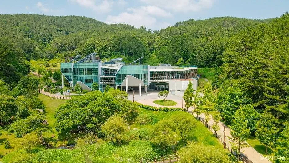 통영_통영RCE세자트라숲 (3)