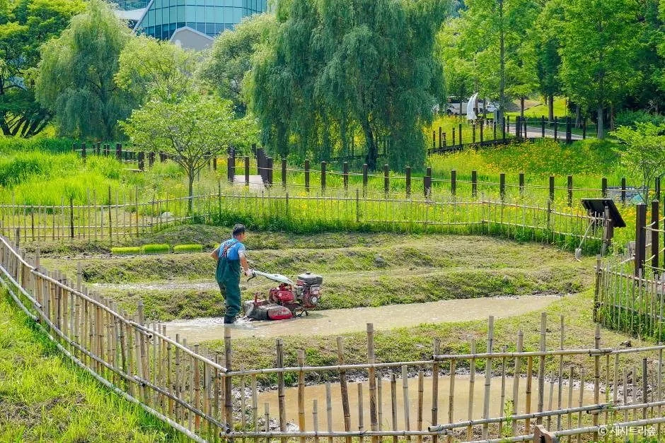 통영_통영RCE세자트라숲 (8)