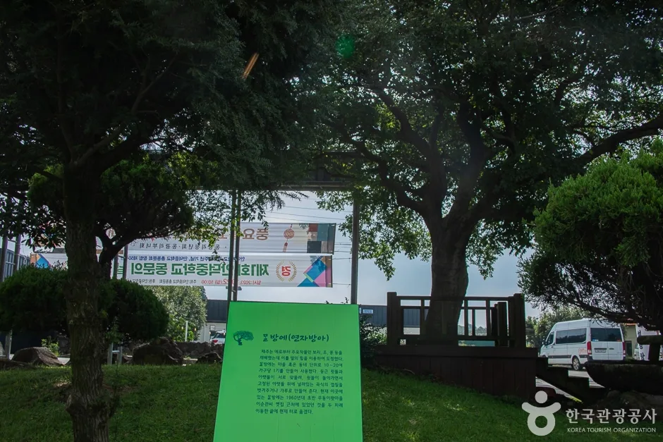제주_서귀포_동광리농촌체험마을(15)