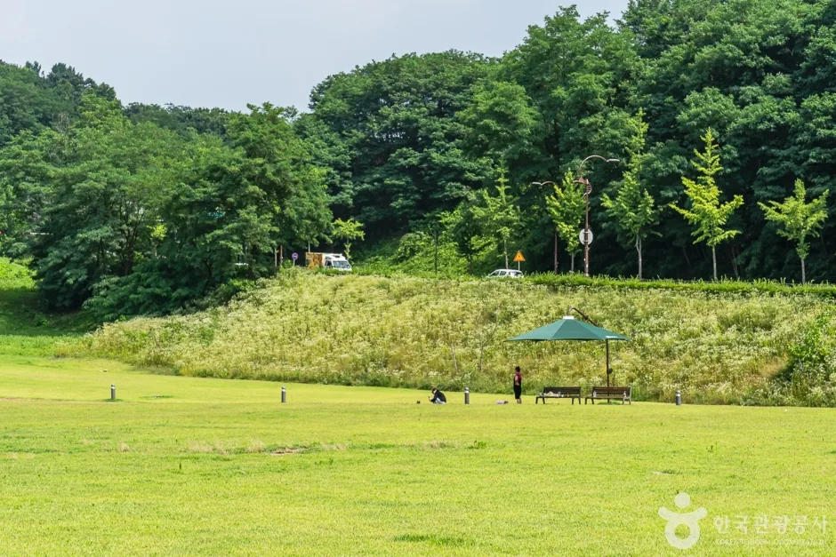 천안시민체육공원 (11)